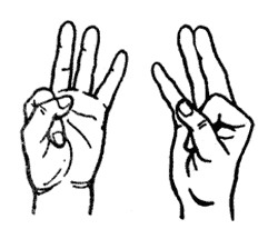 Книгаго: Мудры – йога пальцев. Иллюстрация № 5