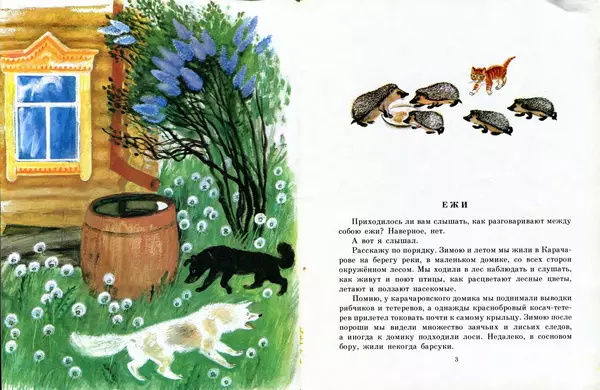 Книгаго: Карачаровский домик. Иллюстрация № 3
