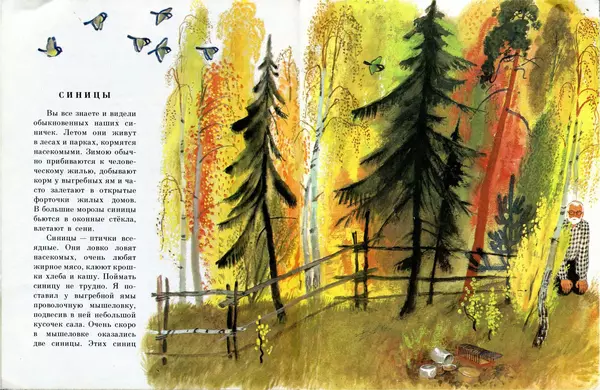 Книгаго: Карачаровский домик. Иллюстрация № 8