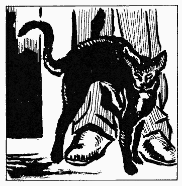 Книгаго: Бойся Кошек. Иллюстрация № 1