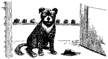 Книгаго: Душа собаки. Иллюстрация № 1