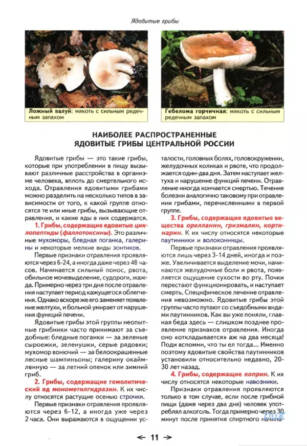 Книгаго: Съедобные грибы и их несъедобные и ядовитые двойники: сравнительные таблицы. Расширенное издание. Иллюстрация № 12