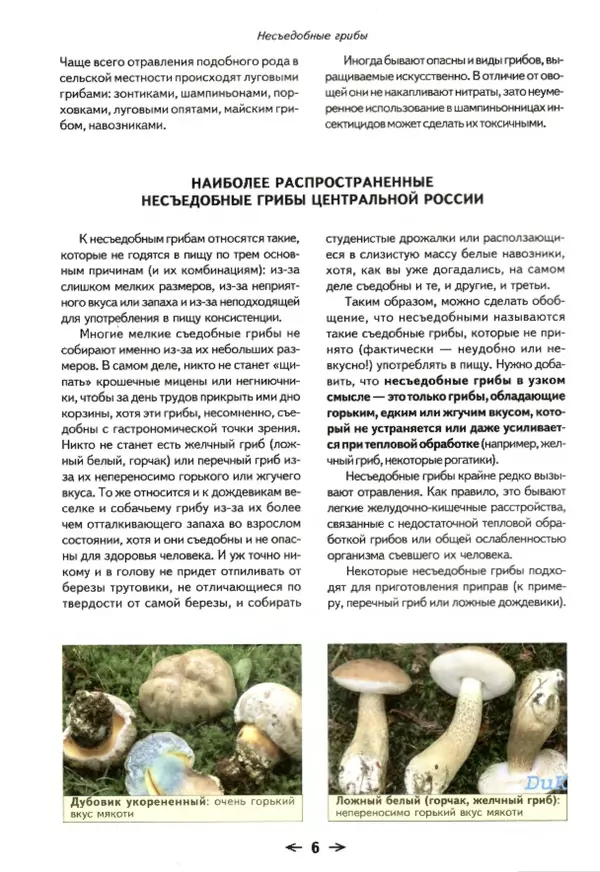 Книгаго: Съедобные грибы и их несъедобные и ядовитые двойники: сравнительные таблицы. Расширенное издание. Иллюстрация № 7