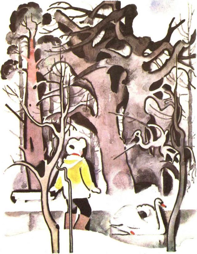 Книгаго: Дождь в лесу. Иллюстрация № 20