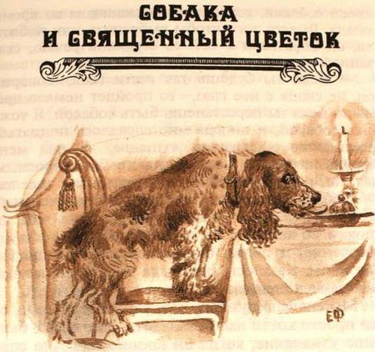Книгаго: Собака и Священный цветок. Иллюстрация № 1