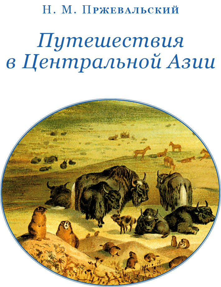 Книгаго: Путешествия в Центральной Азии. Иллюстрация № 2