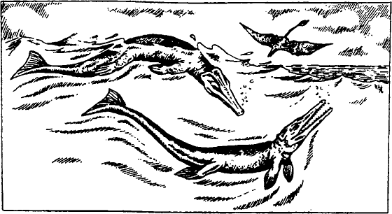 Книгаго: Существуют ли морские чудовища?. Иллюстрация № 71