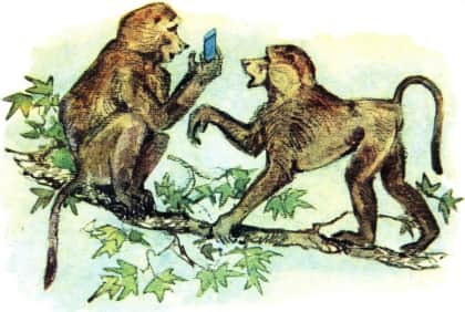 Книгаго: У обезьян. Иллюстрация № 6