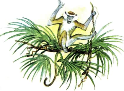 Книгаго: У обезьян. Иллюстрация № 10