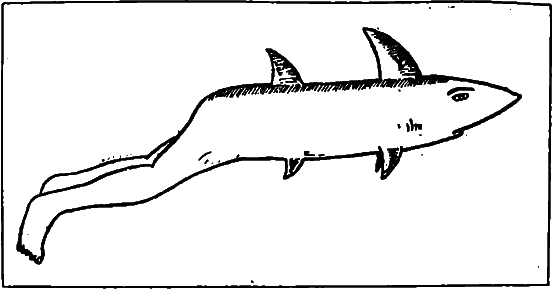 Книгаго: Акулы: Мифы и реальность. Иллюстрация № 1
