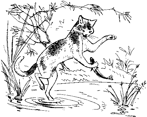 Книгаго: Как кошки ловят рыбу. Иллюстрация № 2