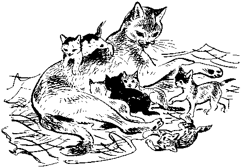 Книгаго: Как кошки ловят рыбу. Иллюстрация № 4