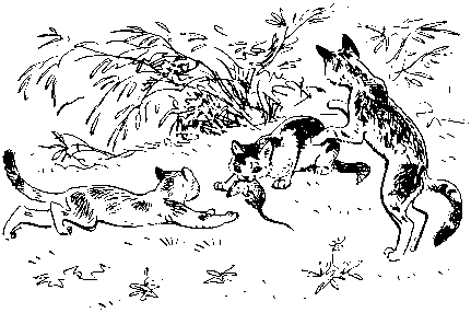 Книгаго: Как кошки ловят рыбу. Иллюстрация № 5