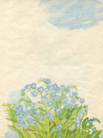 Книгаго: Наши цветы. Иллюстрация № 12