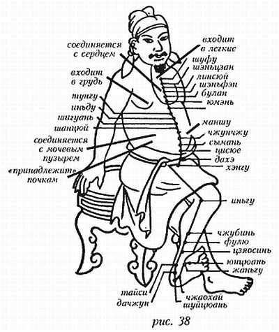 Книгаго: «Цигун и жизнь» («Цигун и спорт»)-04 (2003). Иллюстрация № 6