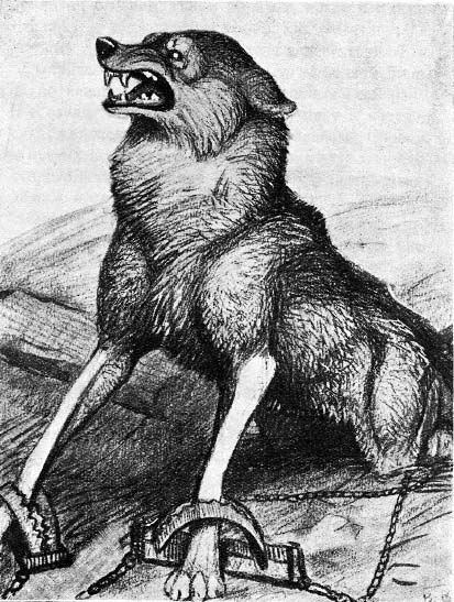 Книгаго: Волки. Иллюстрация № 5