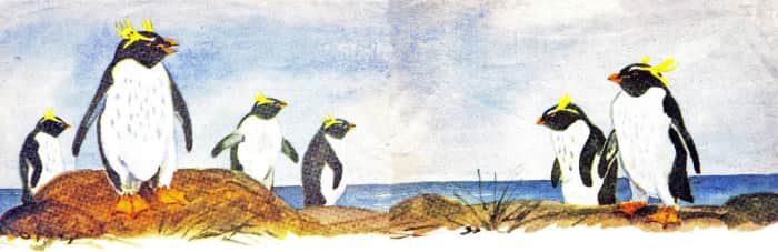 Книгаго: Пингвин Дружок. Иллюстрация № 3