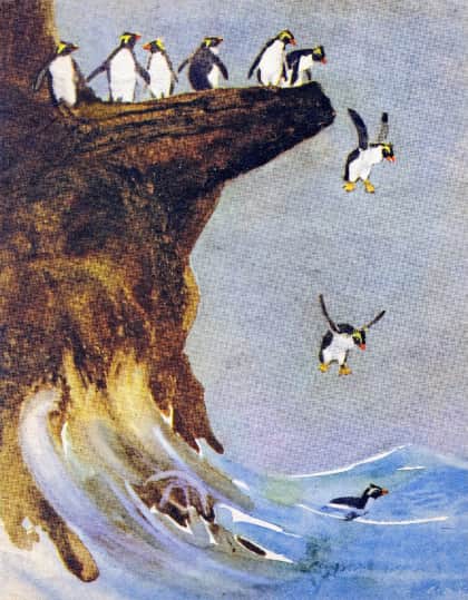 Книгаго: Пингвин Дружок. Иллюстрация № 4