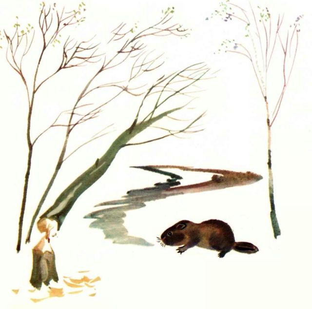 Книгаго: Тунгус и Верный. Иллюстрация № 29