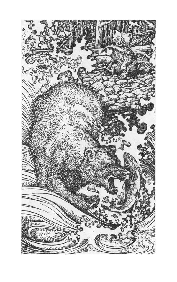 Книгаго: Приключения полярного медведя. Иллюстрация № 4