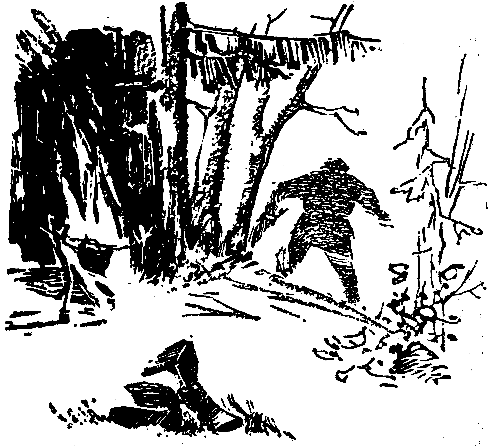 Книгаго: Хозяин тайги. Иллюстрация № 2