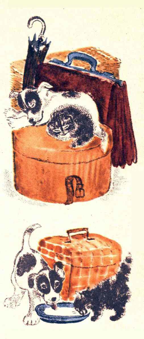 Книгаго: Щенок и котёнок. Иллюстрация № 2