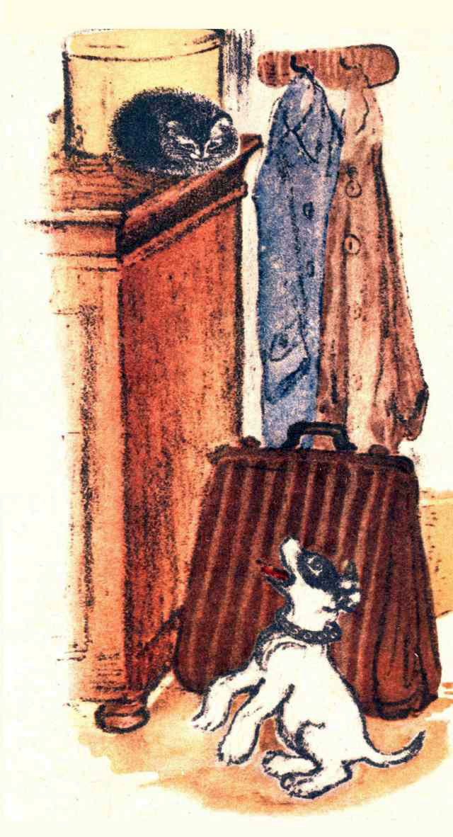 Книгаго: Щенок и котёнок. Иллюстрация № 3