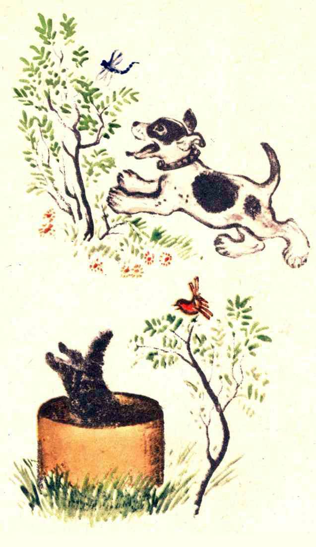 Книгаго: Щенок и котёнок. Иллюстрация № 6