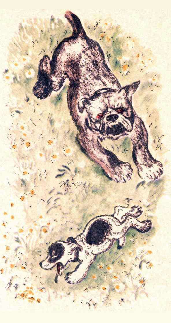 Книгаго: Щенок и котёнок. Иллюстрация № 9