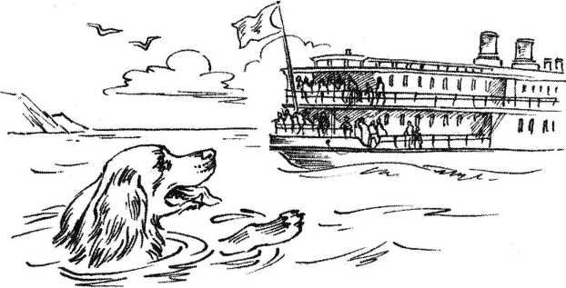 Книгаго: Верный друг. Рассказы о собаках. Иллюстрация № 24
