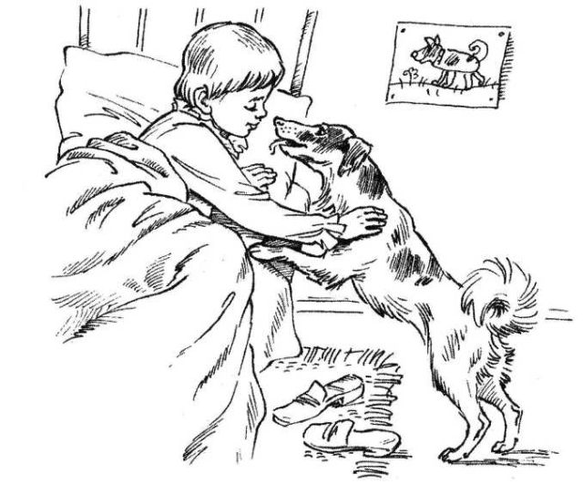 Книгаго: Верный друг. Рассказы о собаках. Иллюстрация № 4