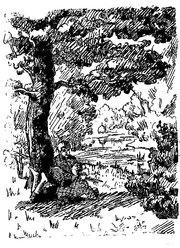 Книгаго: Петька на даче. Иллюстрация № 4