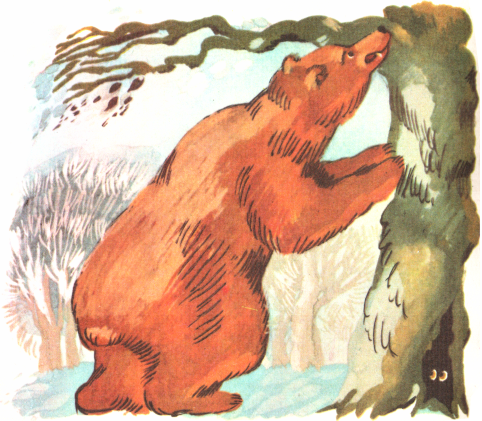 Книгаго: Медведь и три сестры. Иллюстрация № 5