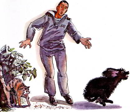 Книгаго: Чёрный пёс в медном ошейнике. Иллюстрация № 5