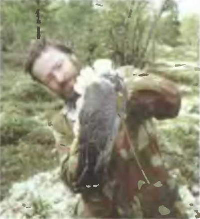 Книгаго: Знание-сила, 1998 № 07 (853). Иллюстрация № 2