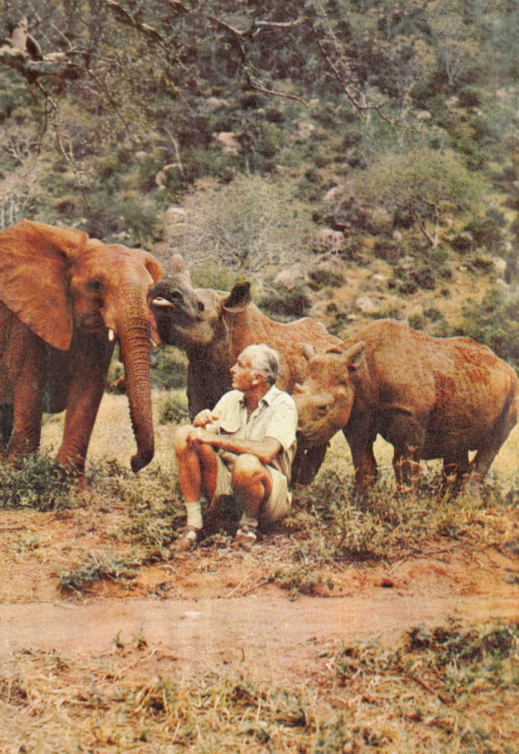 Книгаго: Среди животных Африки. Иллюстрация № 1