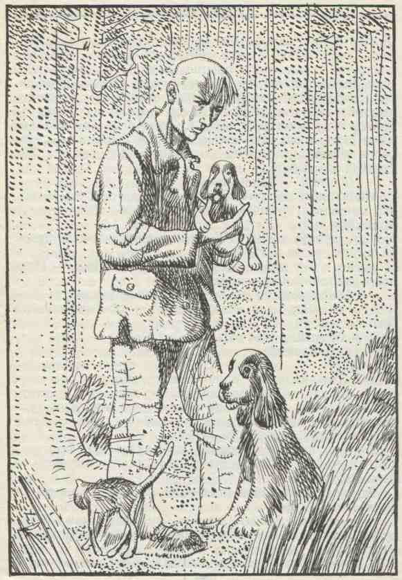 Книгаго: Вислоухий щенок. Иллюстрация № 3