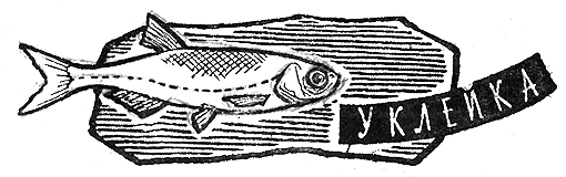 Книгаго: Рыбьи дорожки. Иллюстрация № 1