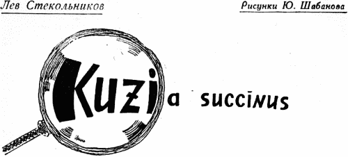 Книгаго: Kuzia succinus. Иллюстрация № 1