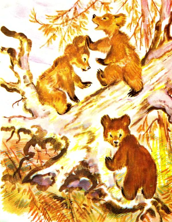 Книгаго: Лесные дети. Иллюстрация № 4