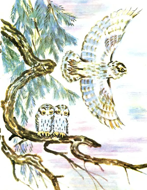 Книгаго: Лесные дети. Иллюстрация № 10