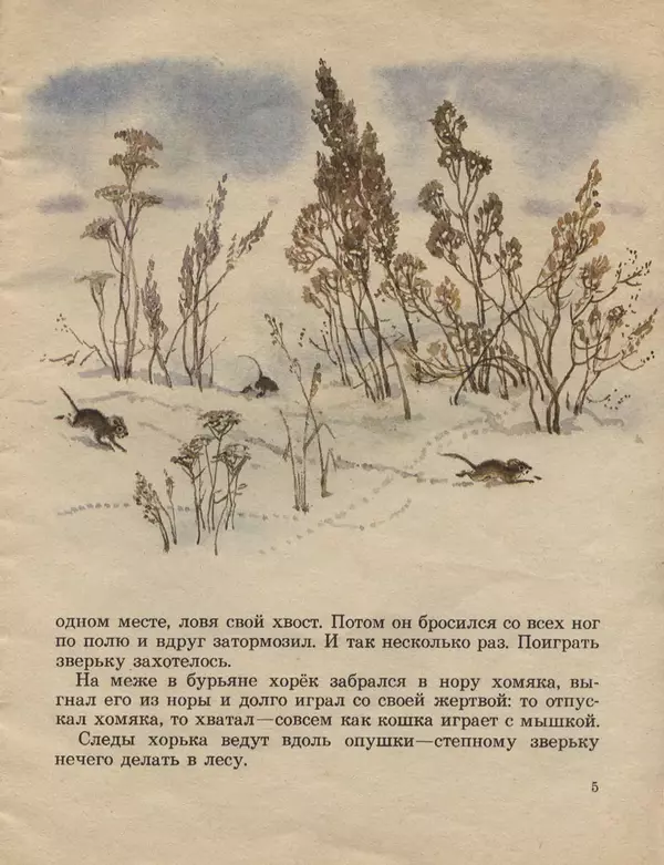 Книгаго: Следы на снегу. Иллюстрация № 5