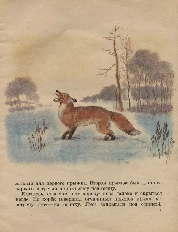 Книгаго: Следы на снегу. Иллюстрация № 7