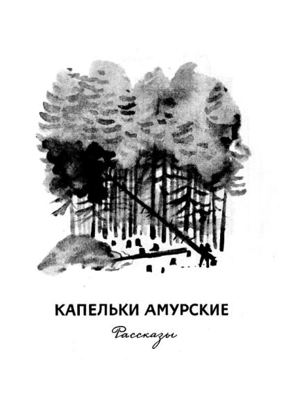 Книгаго: Хрустальный лес. Иллюстрация № 2