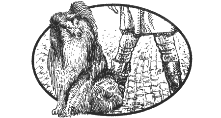 Книгаго: Приключения чёрной таксы. Иллюстрация № 3