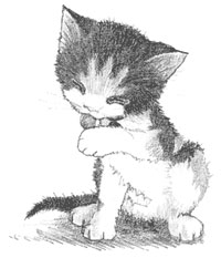 Книгаго: Котёнок Пуговка, или Храбрость в награду. Иллюстрация № 1