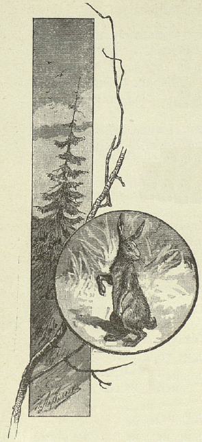 Книгаго: Лисичка и зайчик. Иллюстрация № 1