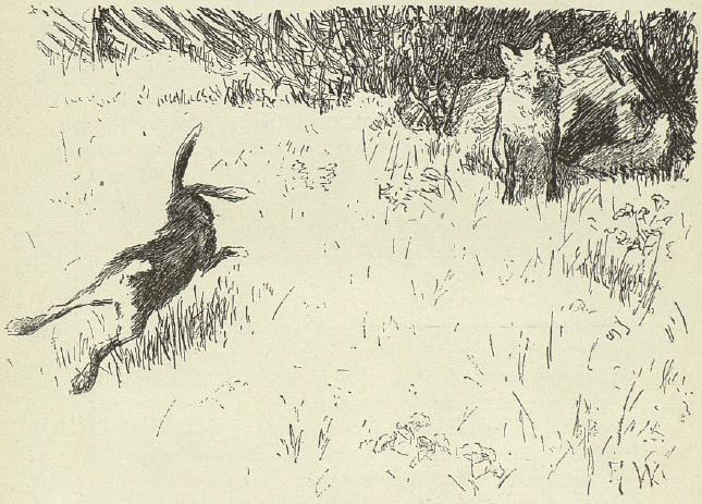 Книгаго: Лисичка и зайчик. Иллюстрация № 2