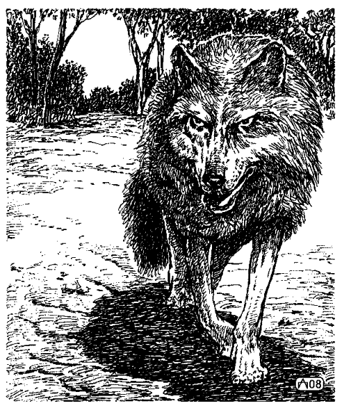 Книгаго: Предводитель волков. Вампир (сборник). Иллюстрация № 1