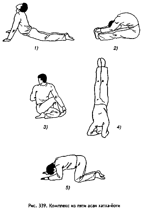 Книгаго: Боевая машина: Руководство по самозащите — 2. Иллюстрация № 125